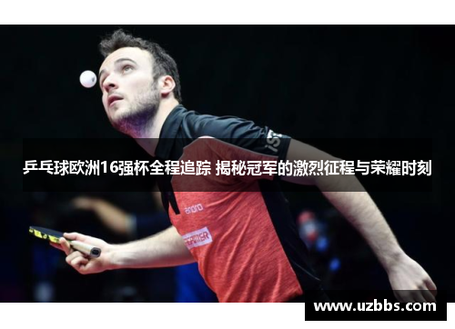乒乓球欧洲16强杯全程追踪 揭秘冠军的激烈征程与荣耀时刻