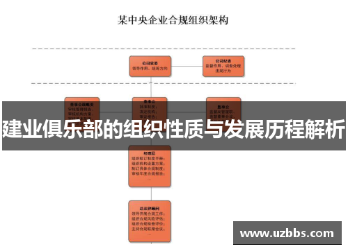 建业俱乐部的组织性质与发展历程解析 建业俱乐部的组织性质与发展历程解析