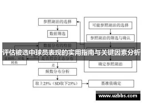 评估被选中球员表现的实用指南与关键因素分析