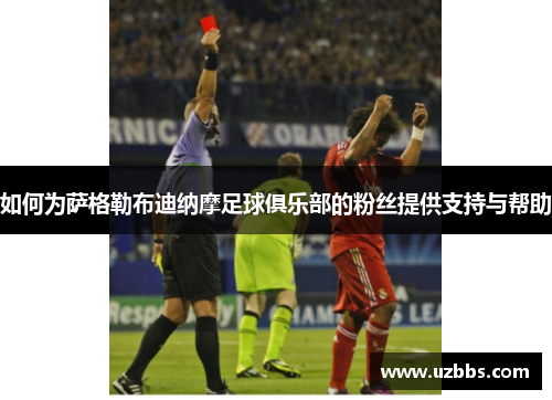 如何为萨格勒布迪纳摩足球俱乐部的粉丝提供支持与帮助