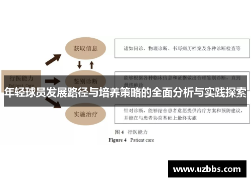年轻球员发展路径与培养策略的全面分析与实践探索