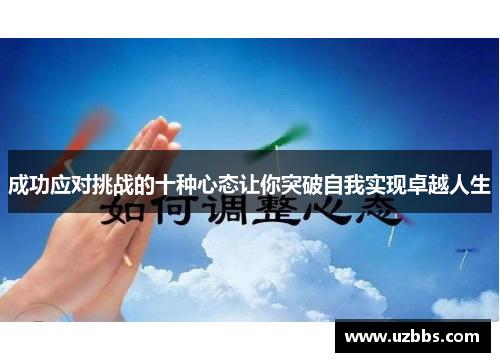 成功应对挑战的十种心态让你突破自我实现卓越人生 成功应对挑战的十种心态让你突破自我实现卓越人生